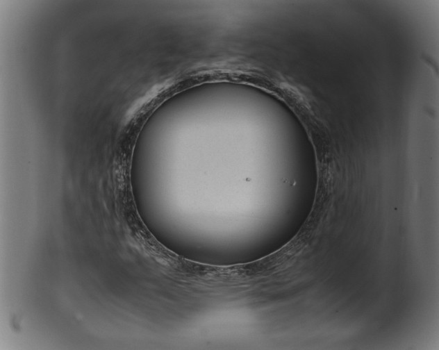 X0000099941159200806061511