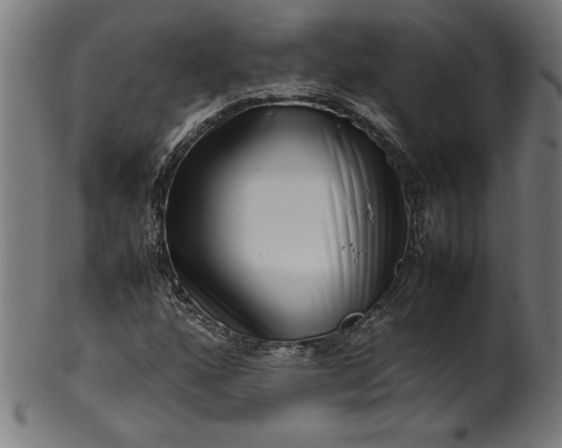 X0000099941160200806061511