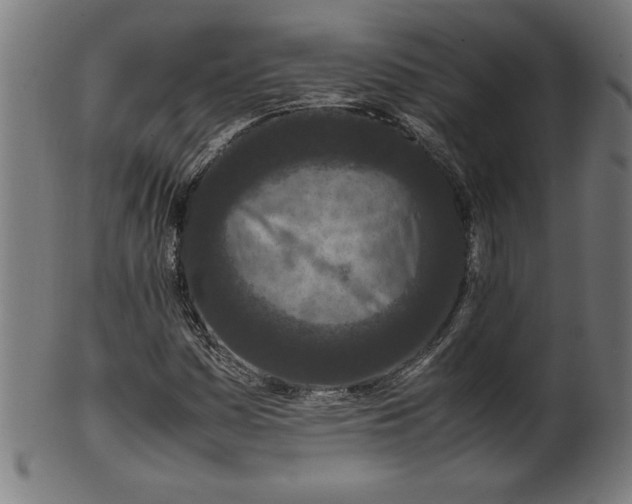 X0000099941161200806061511