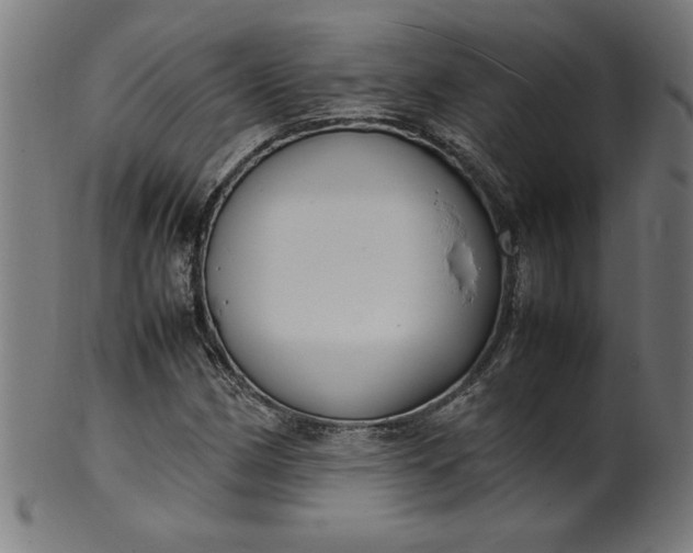X0000099941162200806061511