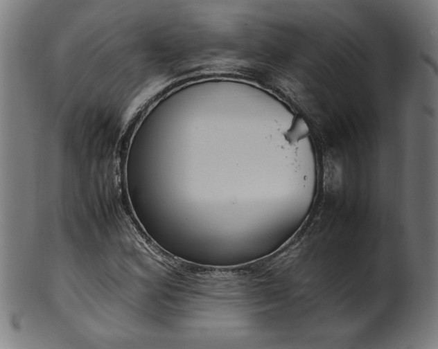 X0000099941164200806061511