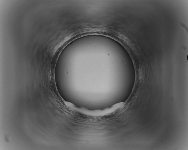 X0000099941165200806061511
