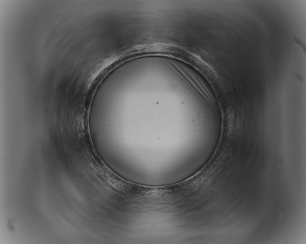 X0000099941166200806061511