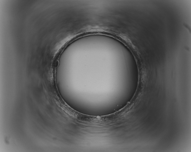 X0000099941167200806061511