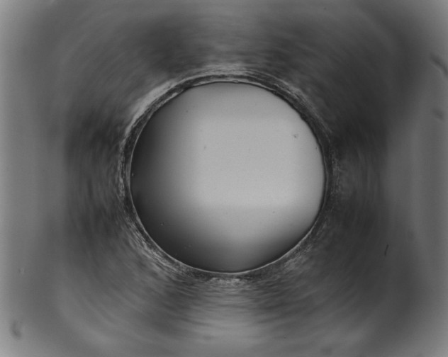 X0000099941168200806061511