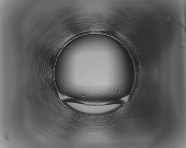 X0000099941169200806061511