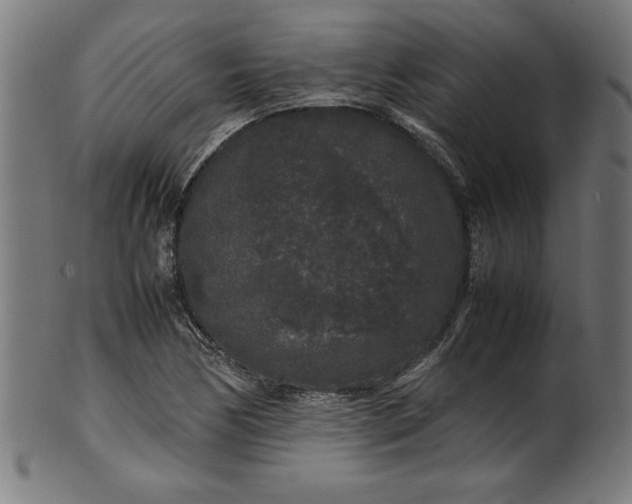 X0000099941170200806061511