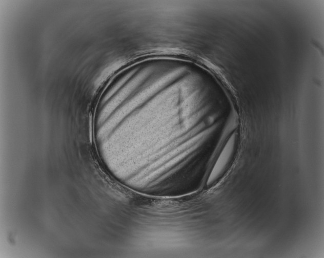 X0000099941171200806061511