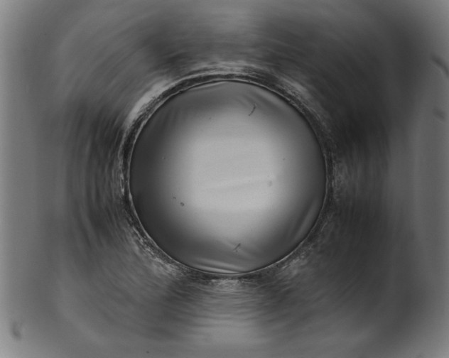 X0000099941172200806061511