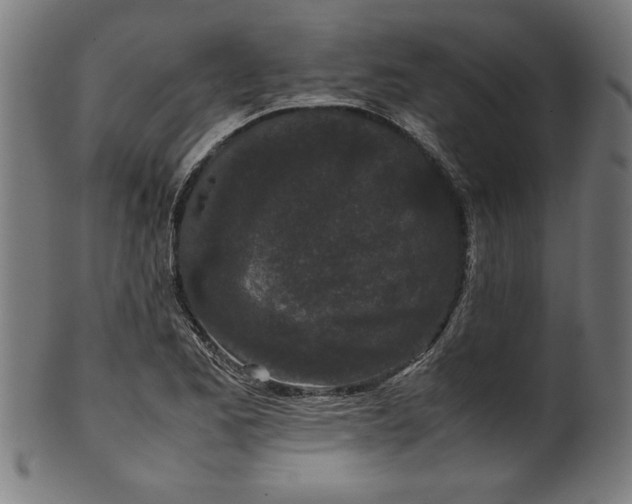 X0000099941173200806061511