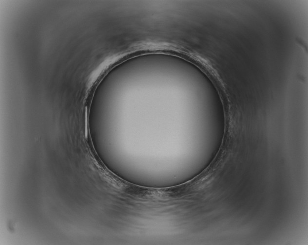 X0000099941175200806061511