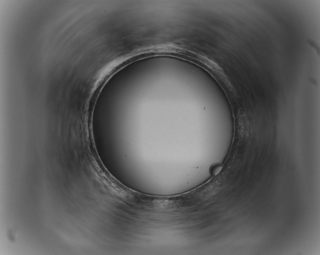 X0000099941176200806061511