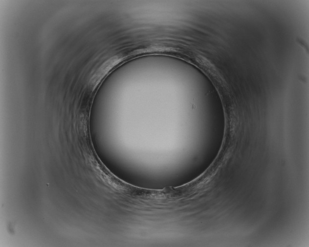 X0000099941177200806061511