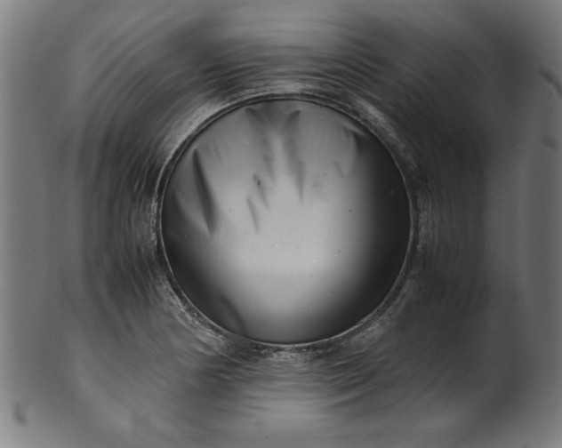 X0000099941178200806061511