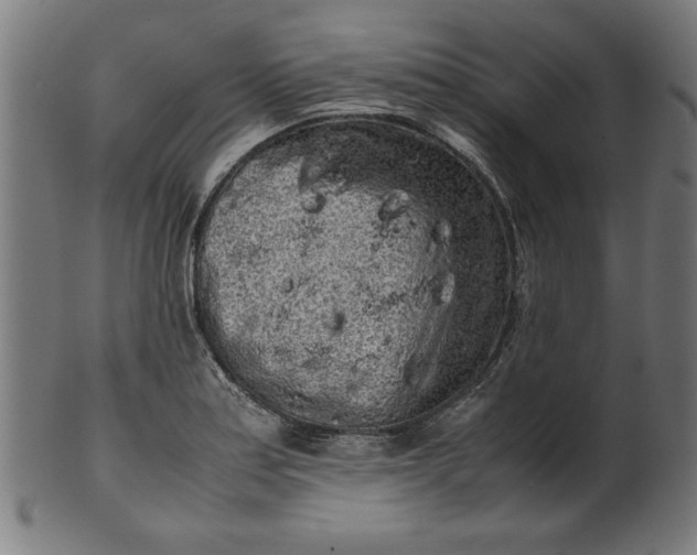 X0000099941179200806061511