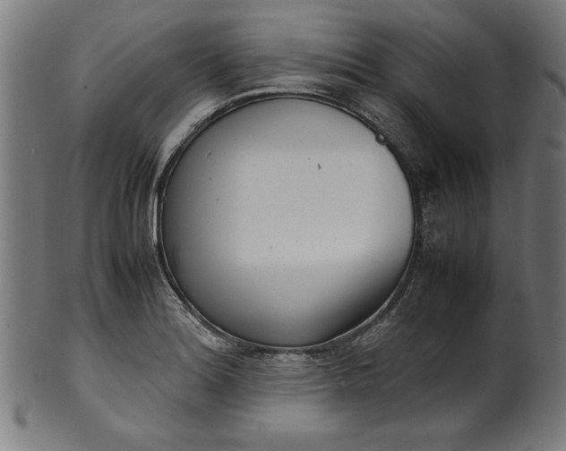 X0000099941180200806061511