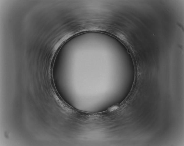 X0000099941181200806061511