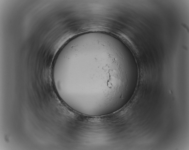 X0000099941182200806061511