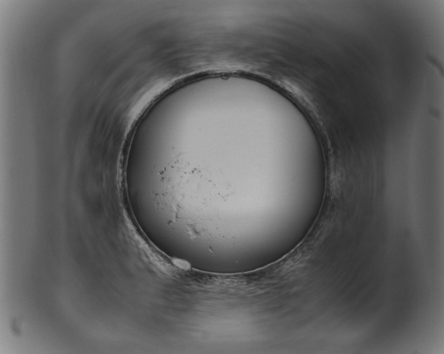 X0000099941183200806061511