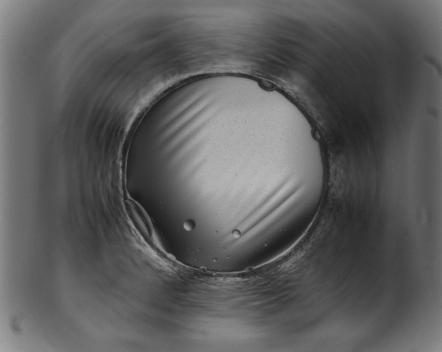 X0000099941184200806061511