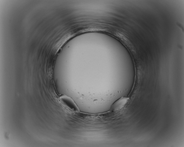 X0000099941185200806061511