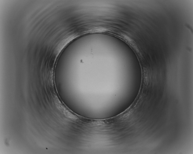 X0000099941186200806061511