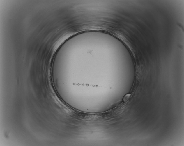 X0000099941187200806061511