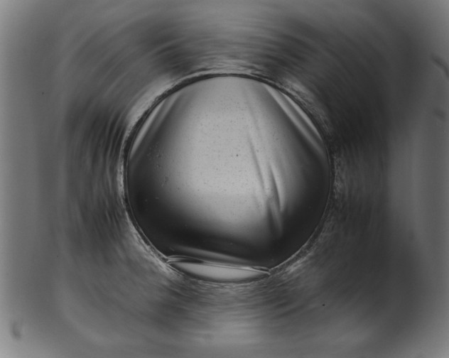 X0000099941188200806061511