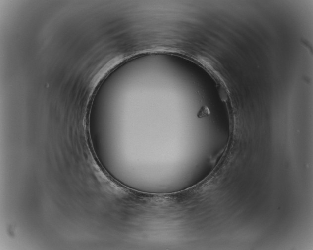 X0000099941189200806061511