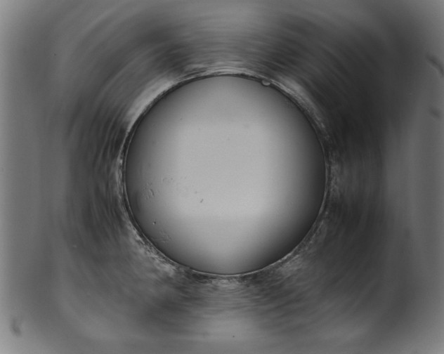 X0000099941190200806061511