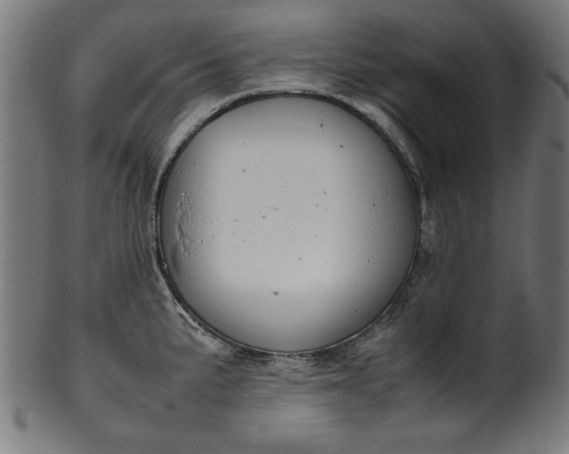 X0000099941191200806061511