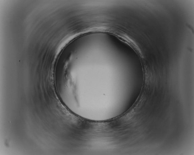 X0000099941192200806061511