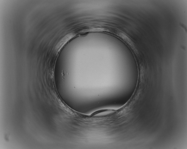 X0000099941193200806061511