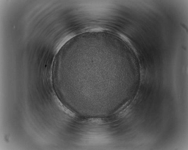 X0000099941194200806061511