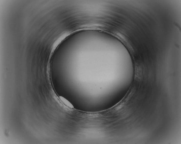 X0000099941196200806061511