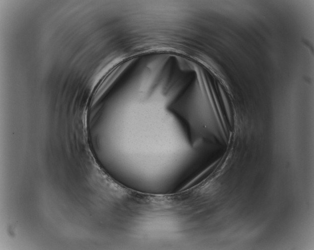 X0000099941198200806061511