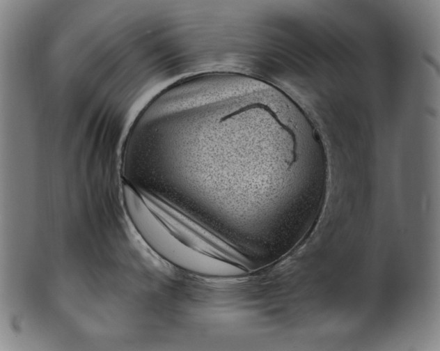 X0000099941200200806061511