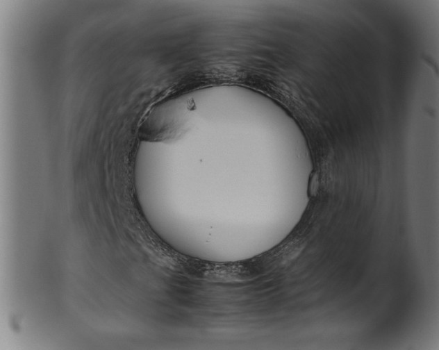 X0000099941201200806061510
