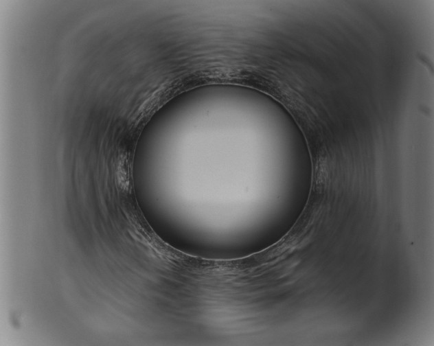 X0000099941202200806061510