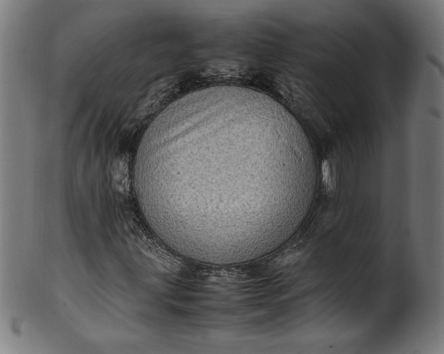 X0000099941203200806061510