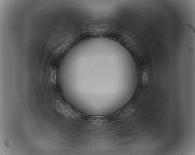 X0000099941204200806061510