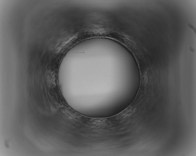 X0000099941205200806061510