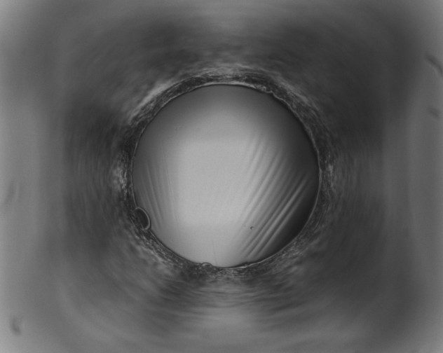 X0000099941206200806061510