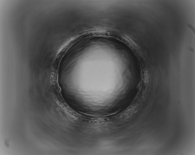 X0000099941208200806061510
