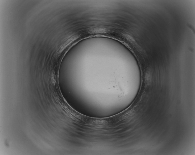 X0000099941209200806061510