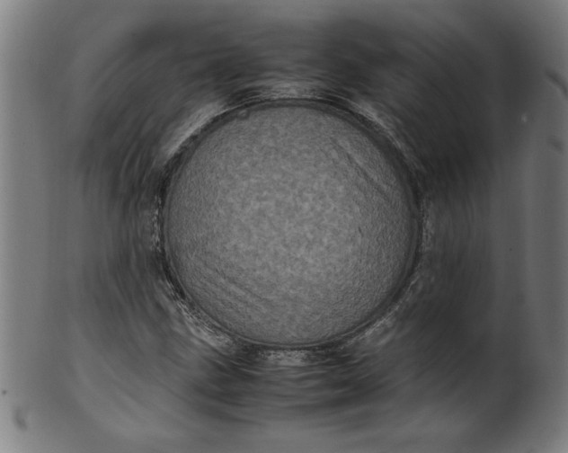 X0000099941211200806061510