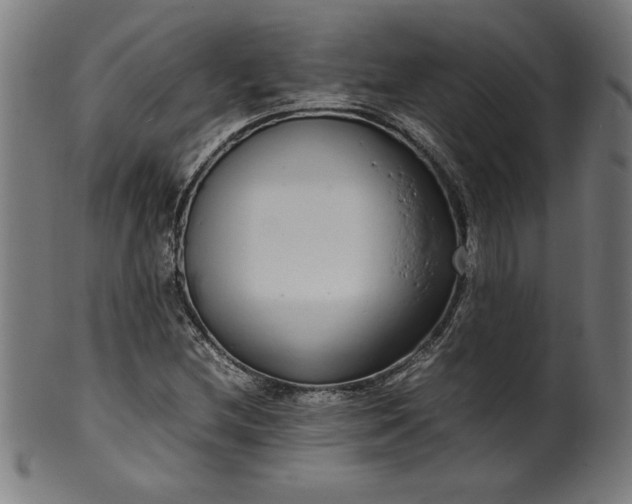 X0000099941212200806061510