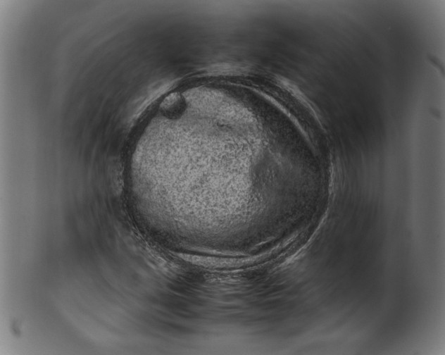 X0000099941213200806061510