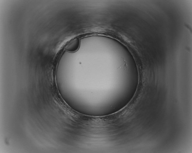 X0000099941214200806061510