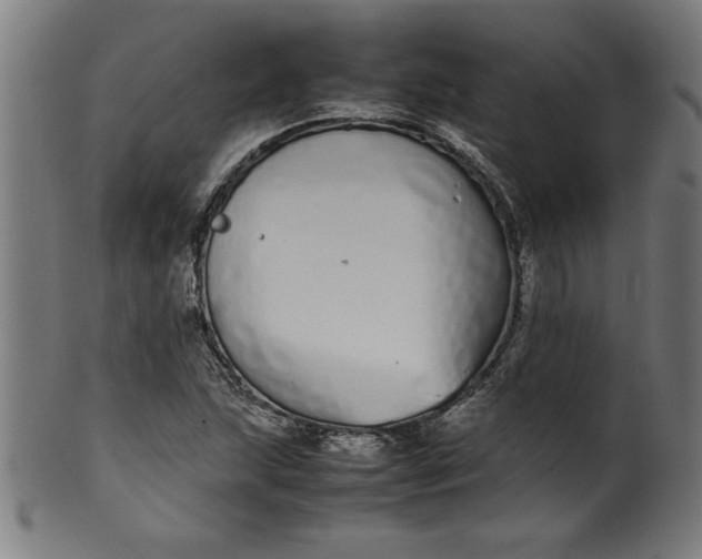 X0000099941215200806061510